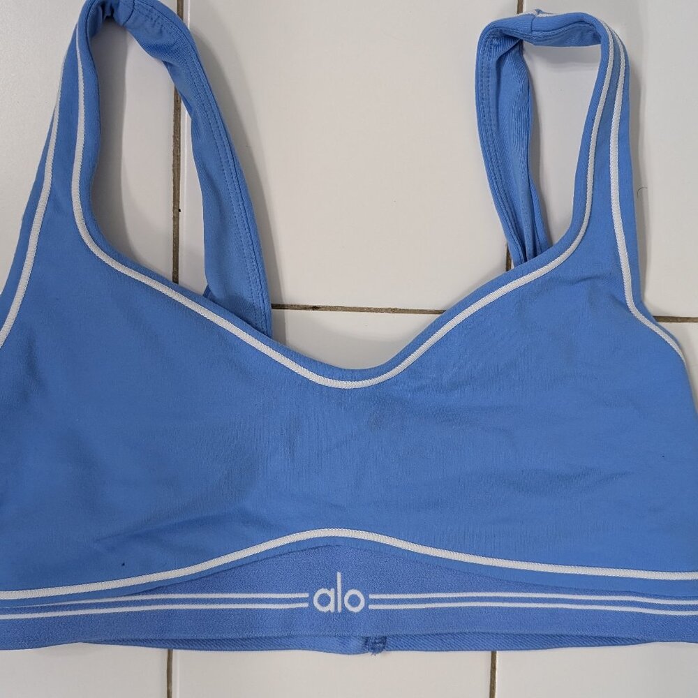 Alo Yoga Airbrush Heartthrob Bra M NWOT sold out